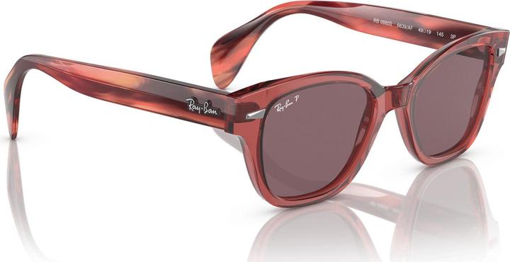 Image du produit Ray Ban RB0880S