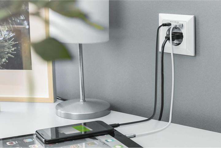 Actual product image Digitus Safety Plug for Flush Mounting with 1 x USB Type-C™, 1 x USB A