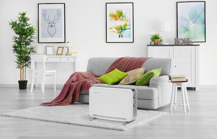 Actual product image Concept KS3020 (2000 W)