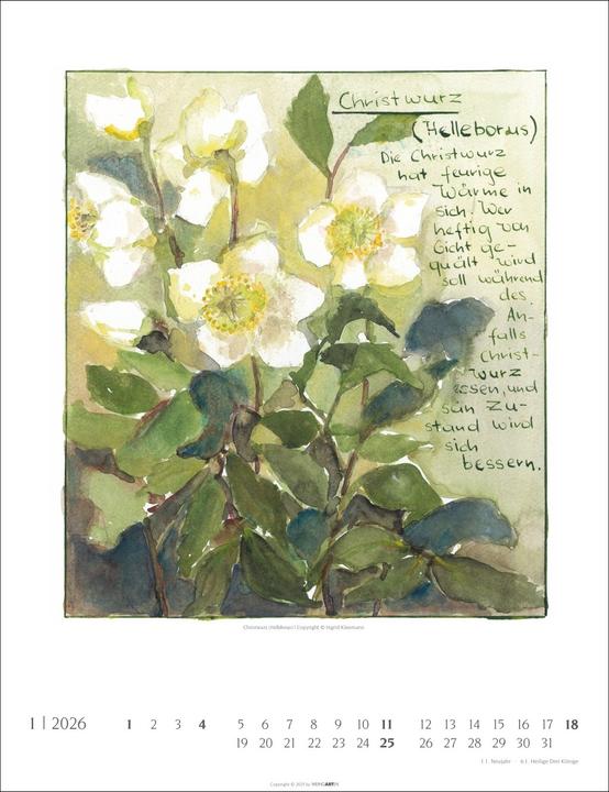 Actual product image Hildegard von Bingen Kalender 2026 (30 x 39 cm)