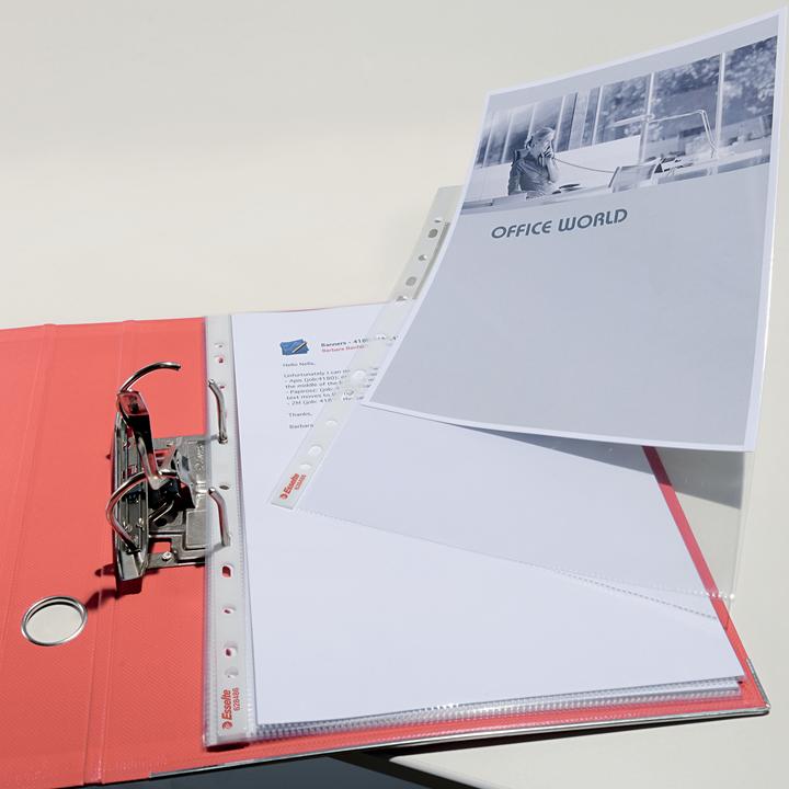 Image du produit Esselte Colour'Breeze (A4, 25x)