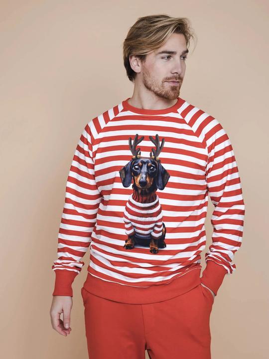 Produktbild Snurk Pullover Herren Pierre Weihnachten (XS)