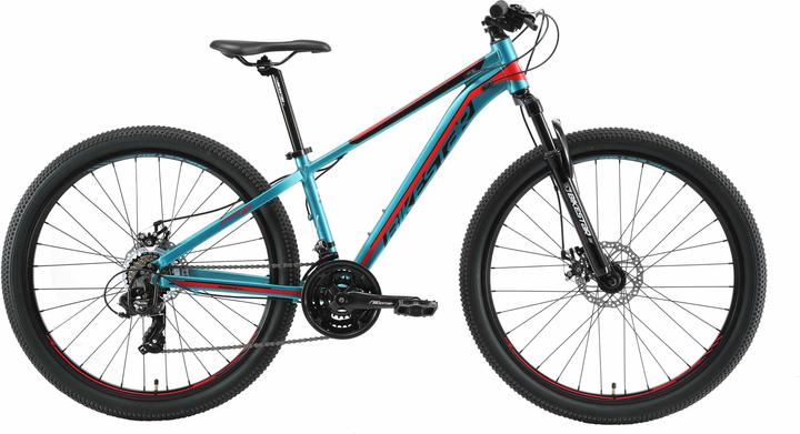 Bikestar Hardtail Mountainbike (35 cm)