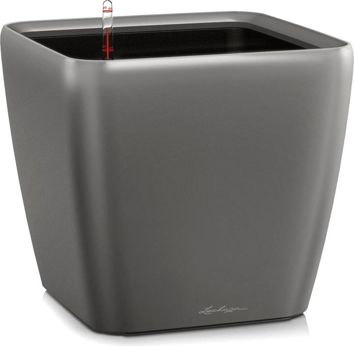 Lechuza Quadro Ls (22.50 cm)