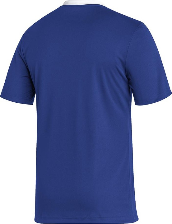 Actual product image adidas Entrada 22 Football Shirt Men (M)