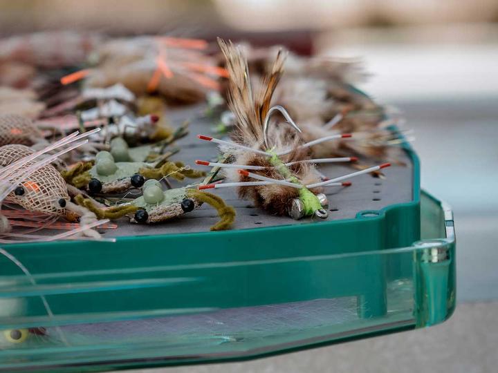 Actual product image Tiemco TMC811S