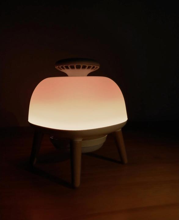 Actual product image Stylies Reva