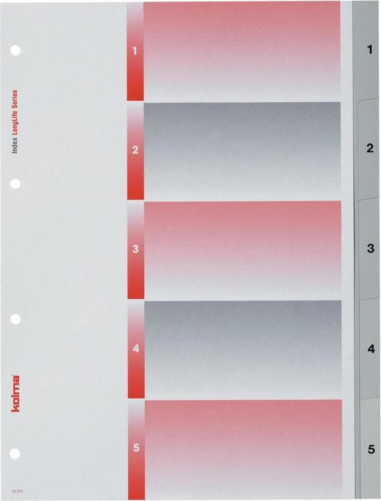 Kolma Registro A4 superstrong 1-5 5 pezzi grigio