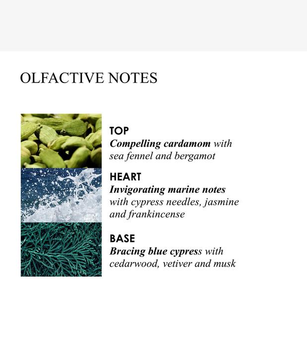 Productafbeelding Molton Brown Coastal Cypress & Sea Fennel Fine Liquid Hand Wash Navulling (Vloeibare zeep, 400 ml)