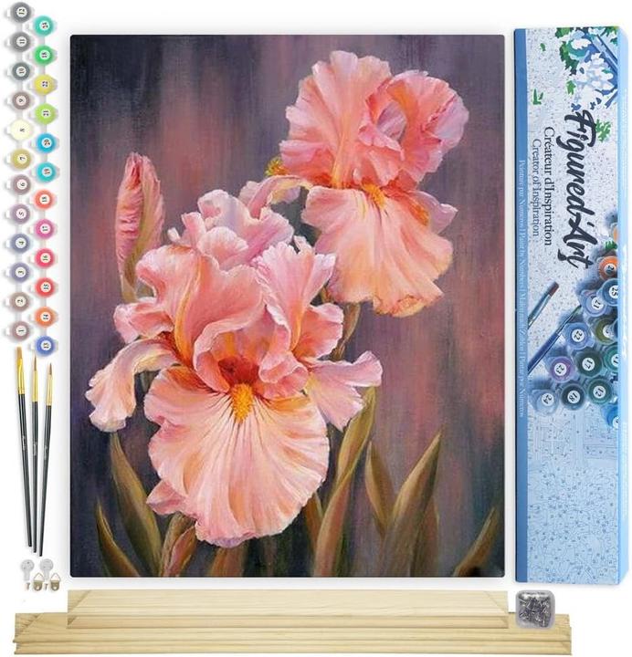Produktbild Figured'Art Malen nach Zahlen Set Iris Blumen