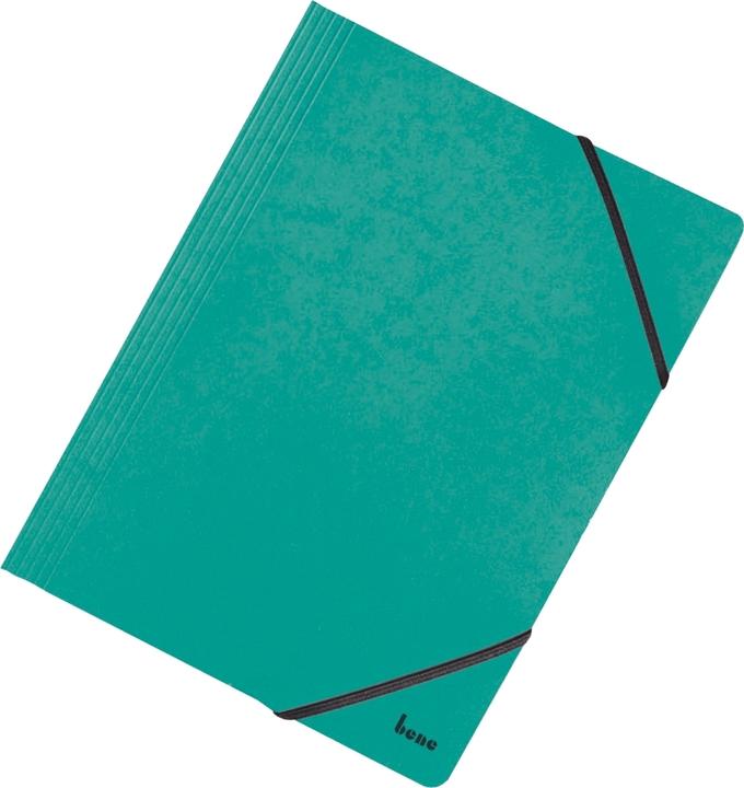 Image du produit Bene Farde à relier DIN A4 vert (A4, 1x)