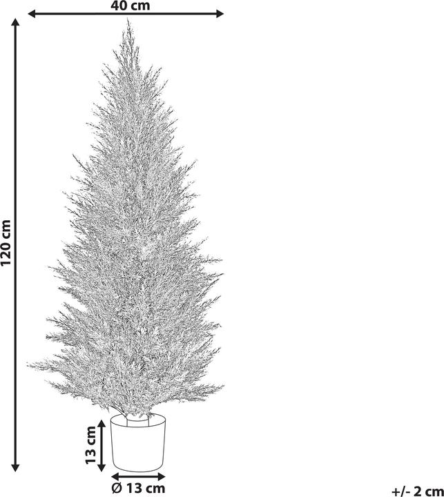 Immagine prodotto Beliani Cedar Tree (120 cm)