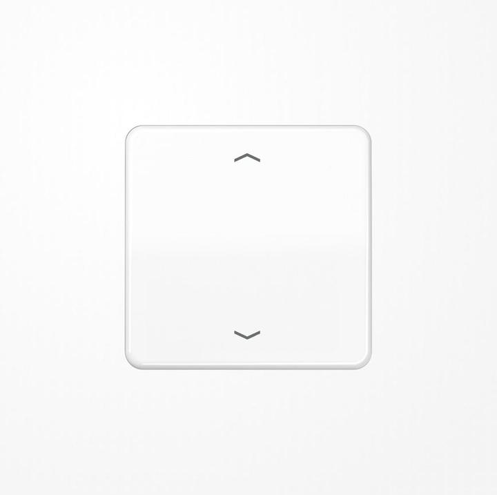 Actual product image JUNG Control element 1f aws CD w.Abd f.Dimmeins CD1700PWW