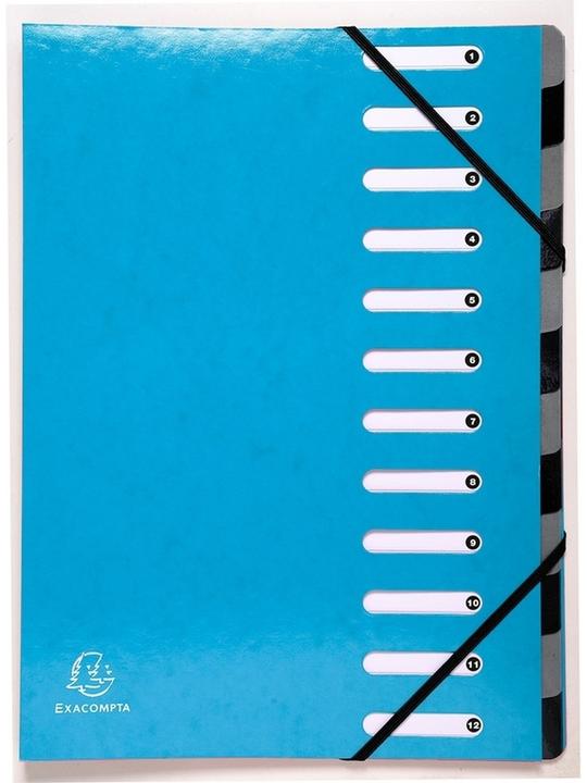 Immagine prodotto Exacompta Ordnungsmappe (1x)
