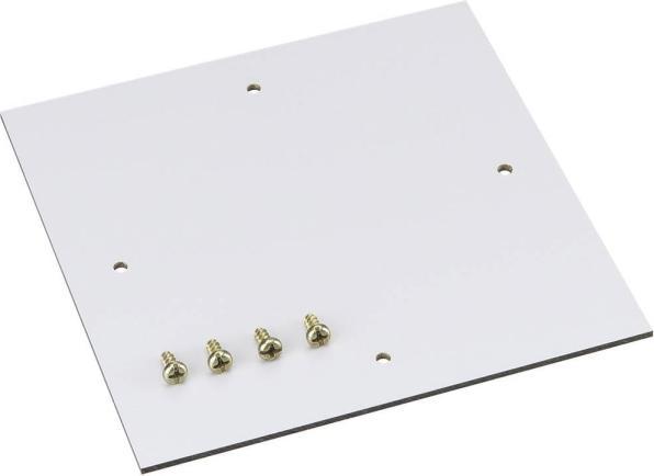 Actual product image Spelsberg TK Mounting plate for plastic housing (Various)