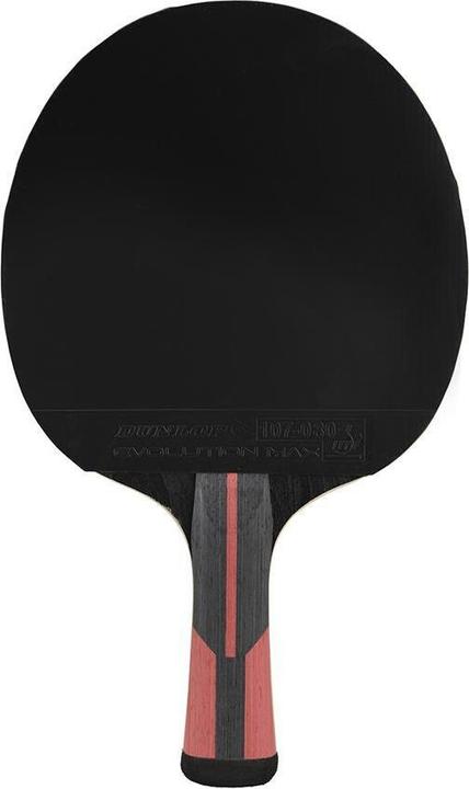 Actual product image Dunlop Evolution 3000