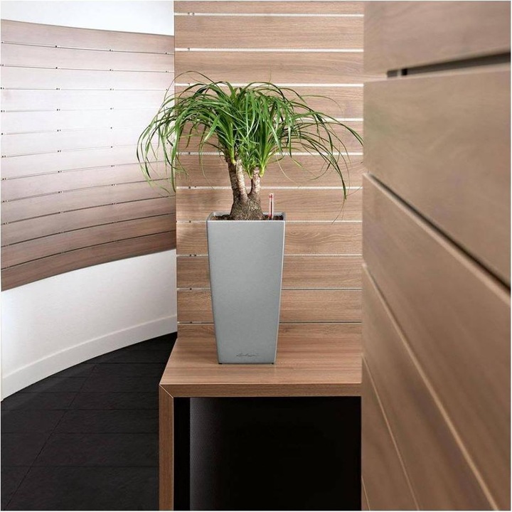 Produktbild Lechuza Ojo (21 cm)