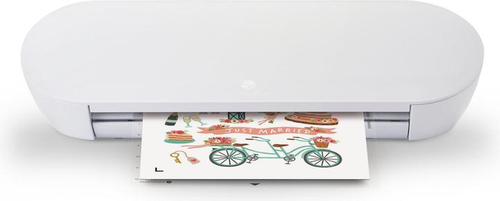 Silhouette Portrait 4