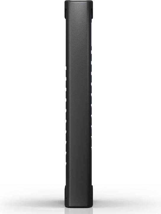 Image du produit SanDisk Professional ArmorLock (1 To)