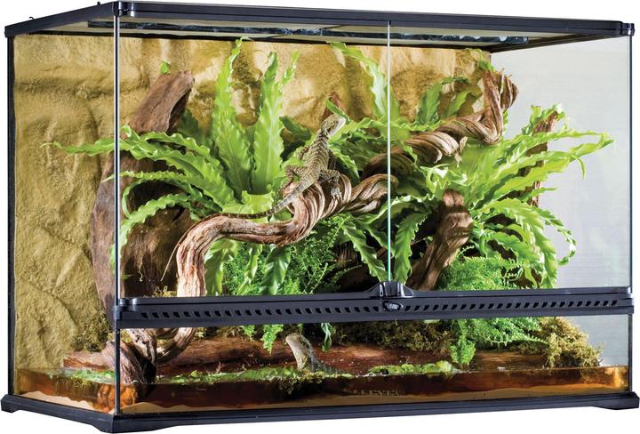 Image du produit Exo Terra Terrarium