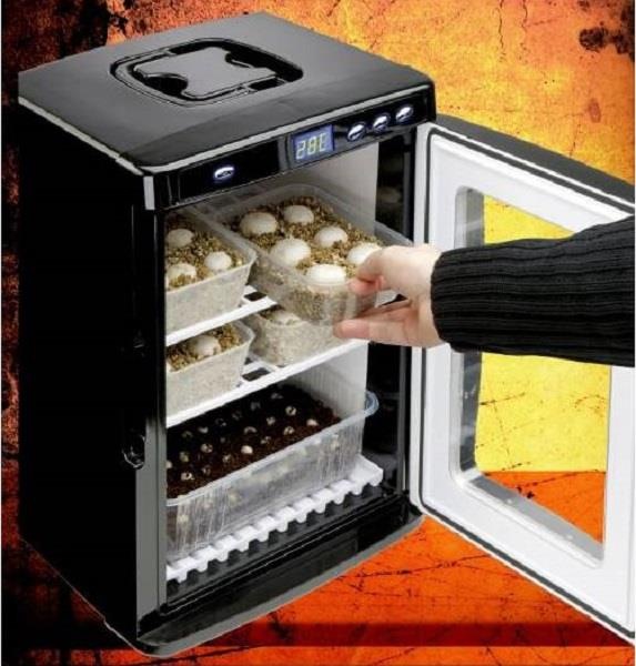 Produktbild Exo Terra Incubator