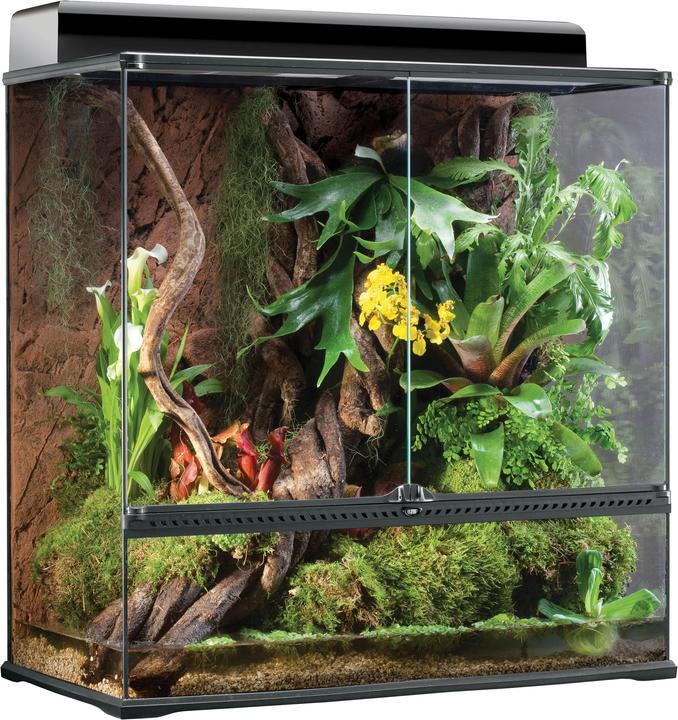 Terrarium