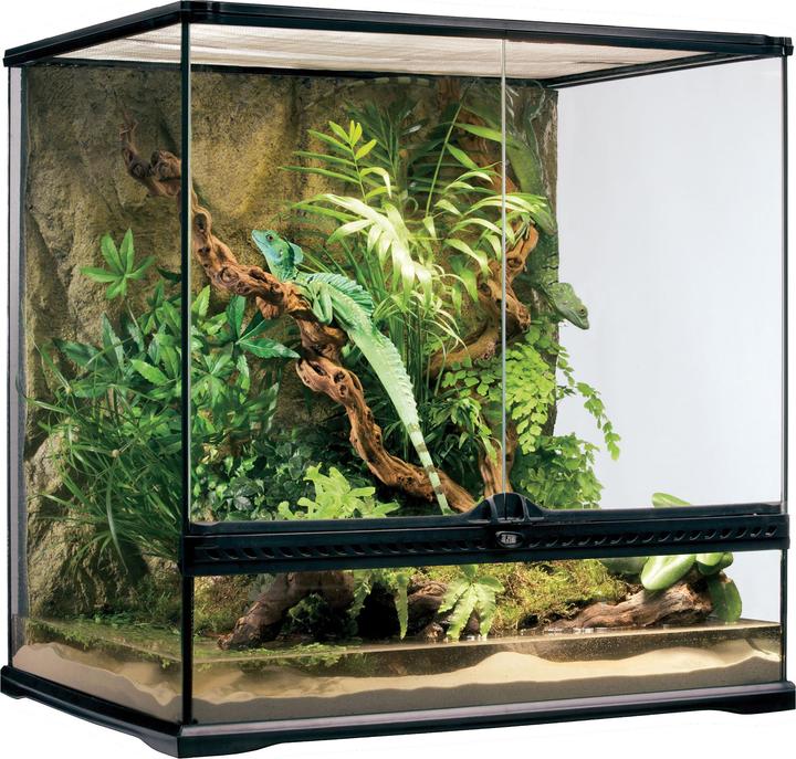 Exo Terra Terrarium en verre 60x45x60cm