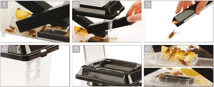 Actual product image Exo Terra Cricket Pen