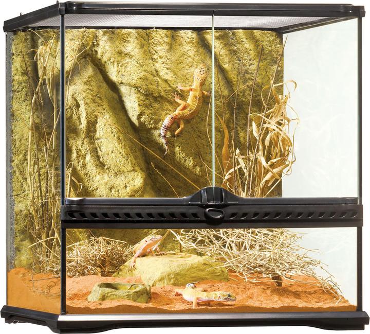 Produktbild Exo Terra Terrarium