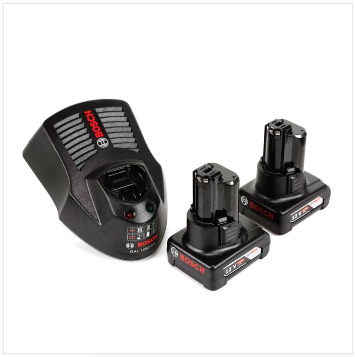 1x Bosch Professional GLI 12V-300 battery lamp + 1x Bosch GBA 12V 6.0 Ah battery - without charger