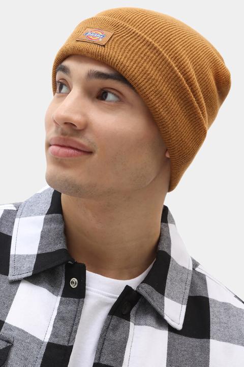 Actual product image Dickies Gibsland