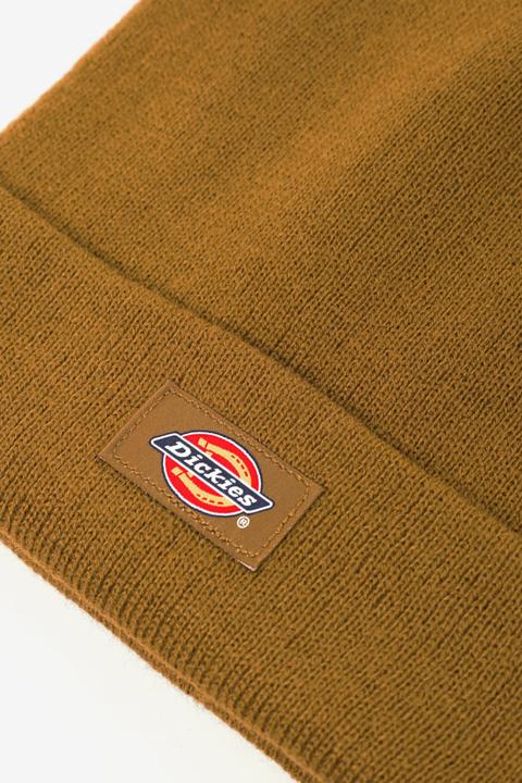 Actual product image Dickies Gibsland