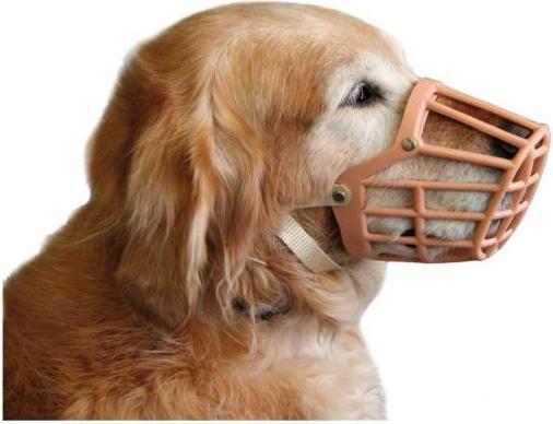 Actual product image Swisspet Plastic muzzle (XXS, Dog, Walks)