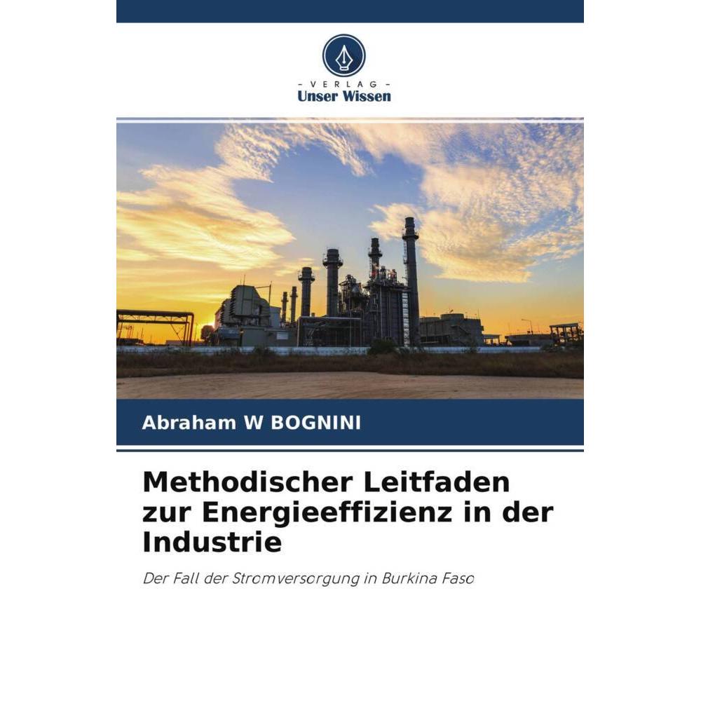 Methodischer Leitfaden zur Energieeffizienz in der Industrie, Fachbücher von Abraham W BOGNINI