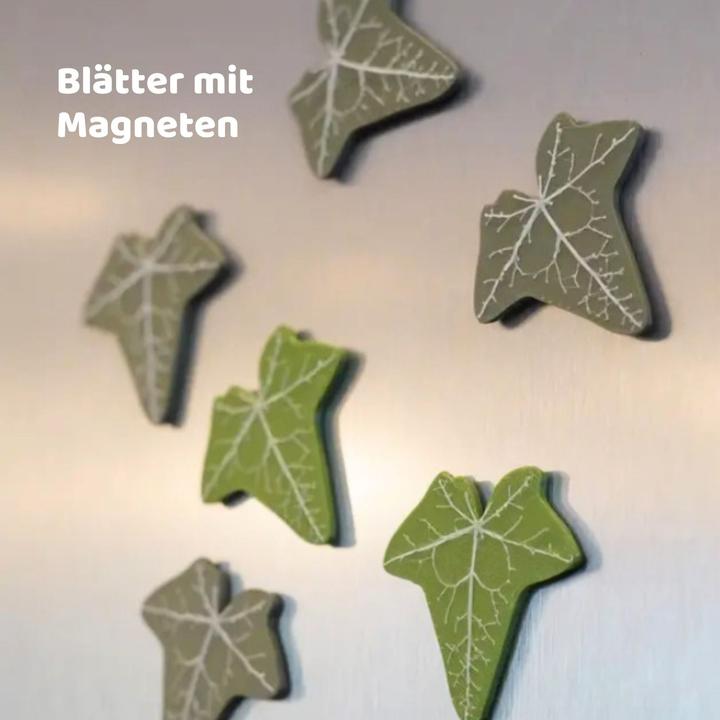 Produktbild Hermex 23-tlg. 3D Efeu-Kühlschrankmagnet-Set Magnet Efeuranken-Deko (23x)