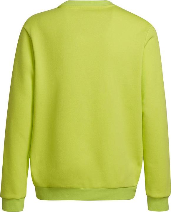 Immagine prodotto adidas Entrada 22 felpa bambini (128)