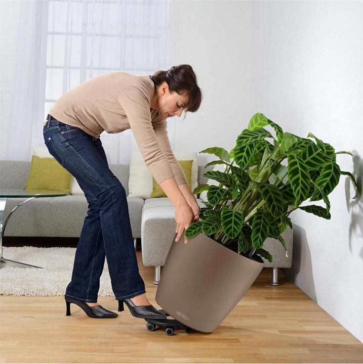 Actual product image Lechuza Classico Color