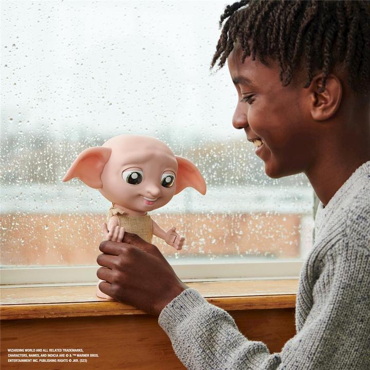 Actual product image Spin Master Dobby