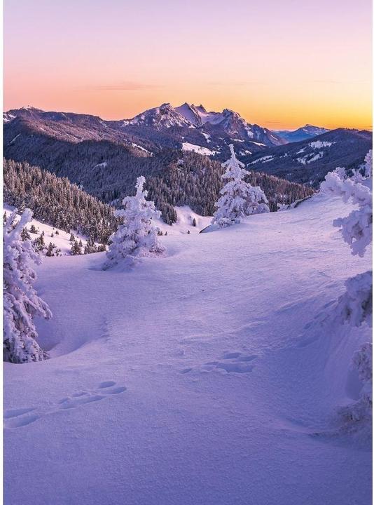 Immagine prodotto Swiss Planer 2026