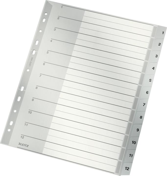 Image du produit Leitz Registre PP gris
