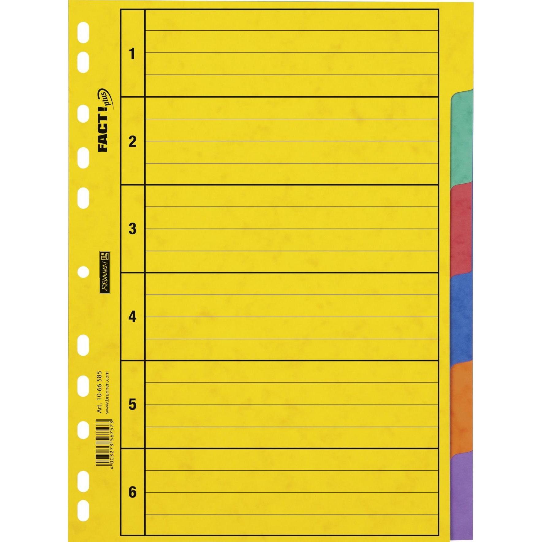 Brunnen, Ordner Zubehör, Register A4 Fact Plus