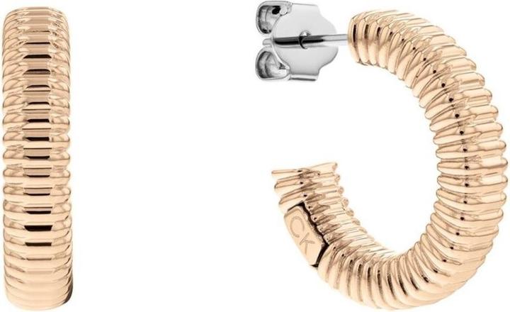 Image du produit Calvin Klein 35000033 (Acier)