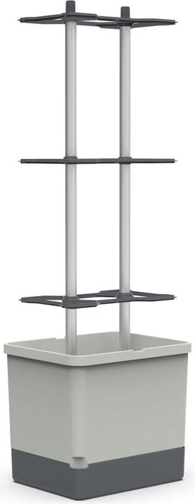 Actual product image Gusta Garden Charly Chilli XL