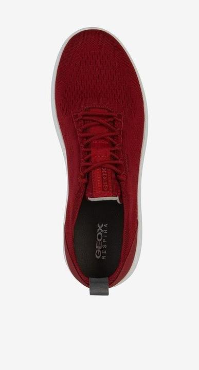 Actual product image Geox Sneaker (41)