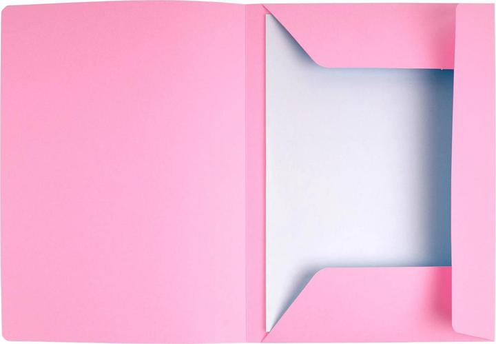 Image du produit Exacompta Porte-documents A4 240g rose (A4, 1x)