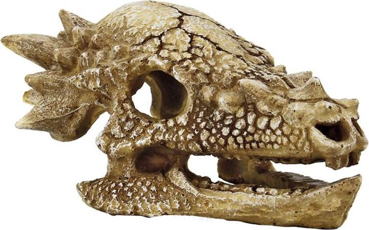 SuperFish Dekoration Schädel T-Rex M (sonstige Gegenstände)