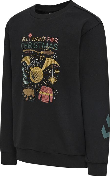 Produktbild hummel Hmlharry Potter Dos Sweatshirt (116)