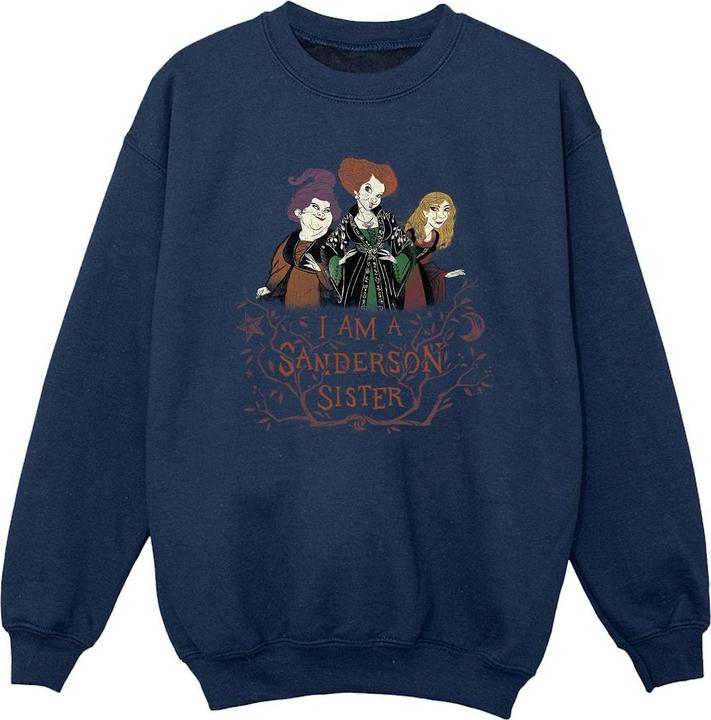Produktbild Disney Hocus Pocus Sanderson Sister Sweatshirt Mädchen (152, 158)