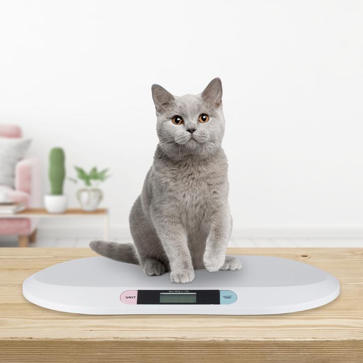 Actual product image Little Choice Digital Baby Scales (20 kg)