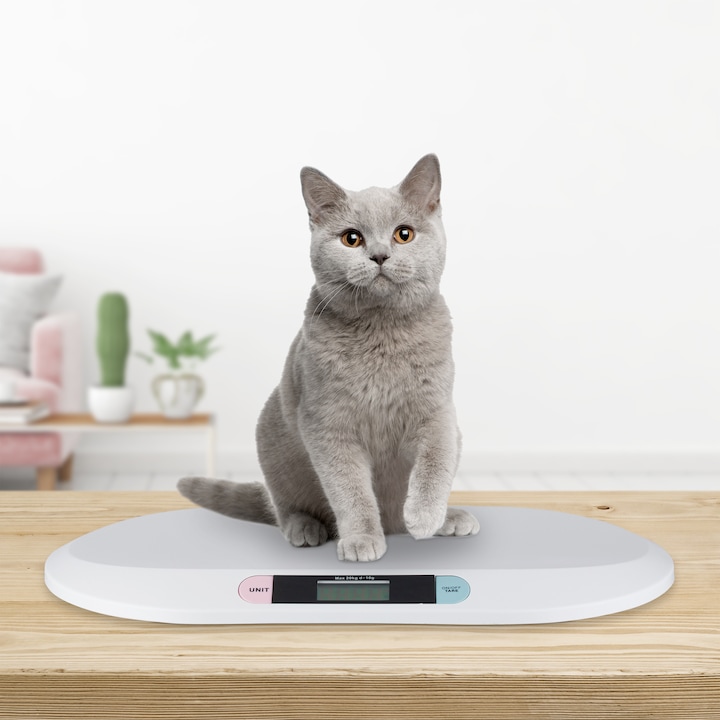 Produktbild Little Choice Digitale Babywaage (20 kg)